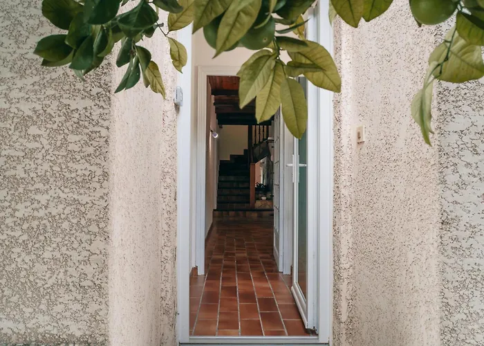 Terra Mera Piscine Privee Proche De Narbonne *